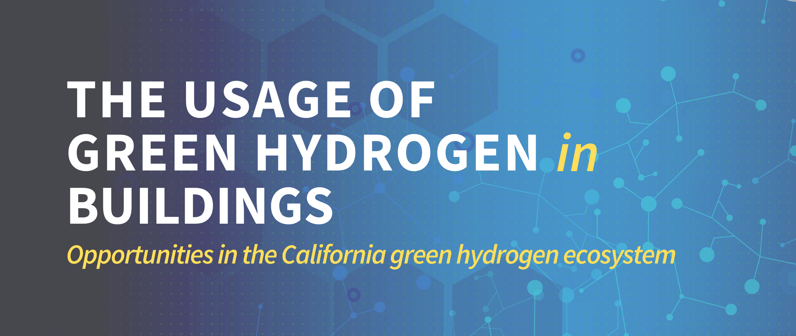 Leading with an Open Mind – How Germany and California Could Use the  Potential of Green Hydrogen to Reach Climate Neutrality - Blog